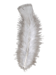 Predhodni