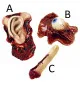 Predhodni