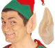 Predhodni