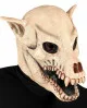Predhodni
