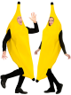 Predhodni