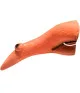 Predhodni