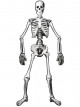 Predhodni