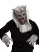Predhodni