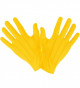 Predhodni