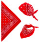Predhodni