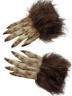 Predhodni