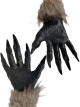 Predhodni