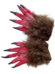 Predhodni