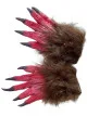 Predhodni
