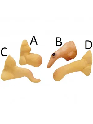 Nos za Čarovnico, Palčka - smešni
